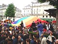 lgp03.jpg
