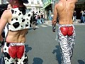 DSC04047b.jpg