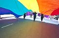 LGP04C08.jpg