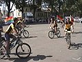 LGP05_079.jpg